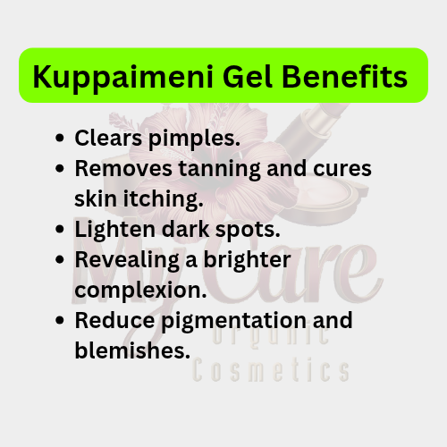 Kuppaimeni Gel (குப்பைமேனி ஜெல்) 100 ml